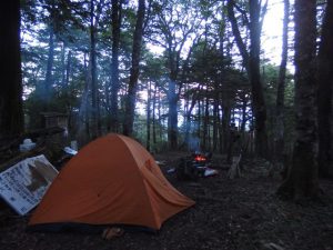 Forest camping