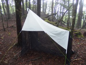 Malaise trapping for insects